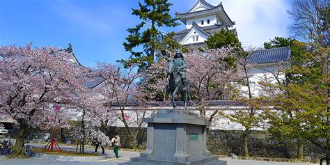 岐阜県大垣市 天気 今日の空はなぜかピンク色に見える